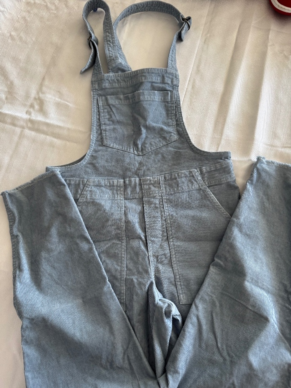 NWOT Aerie light blue corduroy overalls